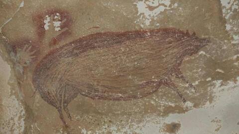 World's oldest known cave painting found in Indonesia World's oldest known cave painting found in Indonesia