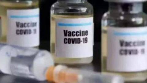 COVID-19 vaccines for younger kids could be available from October COVID-19 vaccines for younger kids could be available from October