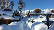 Srinagar-Jammu Highway cleared of snow; stranded vehicles allowed to ply