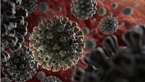 Expert: One year on, prevention key to stem COVID-19 spread Expert: One year on, prevention key to stem COVID-19 spread