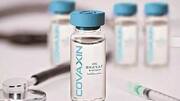 Deck cleared for import of COVAXIN, Sputnik V into Brazil