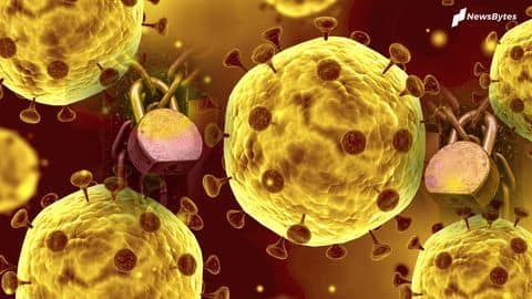 Novel coronavirus may resemble common cold in future, scientists predict Novel coronavirus may resemble common cold in future, scientists predict