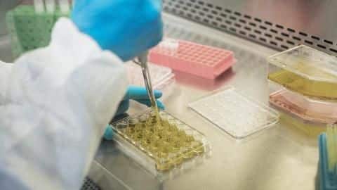 72-year-old COVID-19 patient given 'antibody cocktail' in Mohali 72-year-old COVID-19 patient given 'antibody cocktail' in Mohali