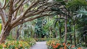 Italy on your mind? Don't miss these botanical gardens