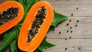 Why you must add papaya seeds to your diet