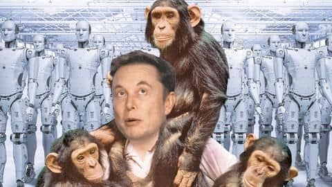 NewsBytes Briefing: Musk's army of gamer cyborg monkeys, and more NewsBytes Briefing: Musk's army of gamer cyborg monkeys, and more