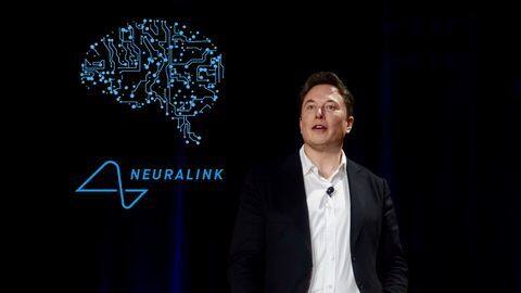 Elon Musk has 'happy monkey' with brain wired for videogaming Elon Musk has 'happy monkey' with brain wired for videogaming