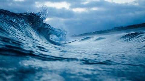 Marine heatwaves may become more intense, frequent, say scientists Marine heatwaves may become more intense, frequent, say scientists