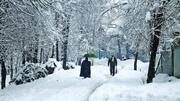 Fresh snowfall in Kashmir; air traffic at Srinagar Airport affected