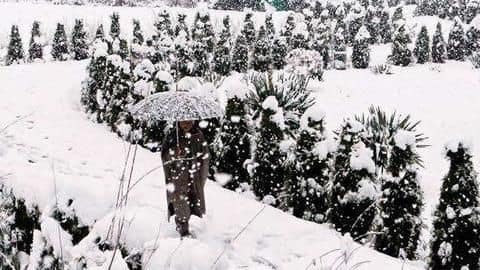 Kashmir: Fresh snowfall reported, cold wave-like conditions return Kashmir: Fresh snowfall reported, cold wave-like conditions return
