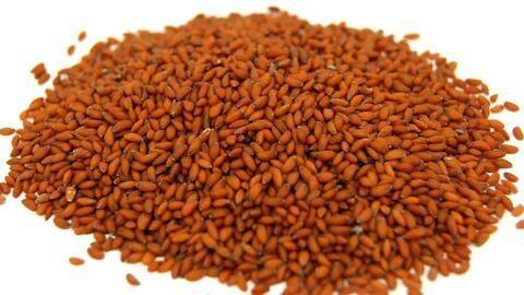 #HealthBytes: Here's why you should consume garden cress seeds #HealthBytes: Here's why you should consume garden cress seeds