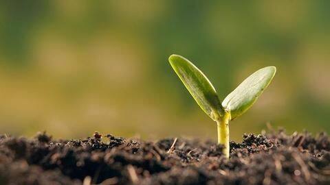 #HealthBytes: Why you should consider cultivating interest in gardening #HealthBytes: Why you should consider cultivating interest in gardening