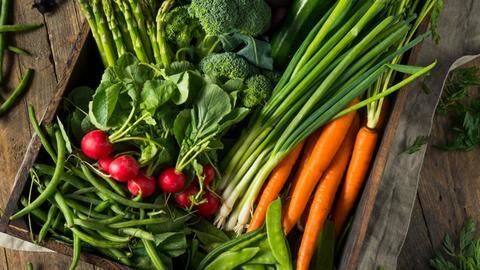 Five vegetables that can be quickly harvested in kitchen garden Five vegetables that can be quickly harvested in kitchen garden