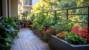 How to maintain a beautiful balcony garden