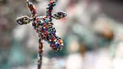 How to make Maasai-inspired animal sculptures