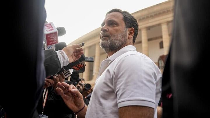 'Either Naravane or Penguin...lying': Rahul Gandhi on unpublished book FIR 