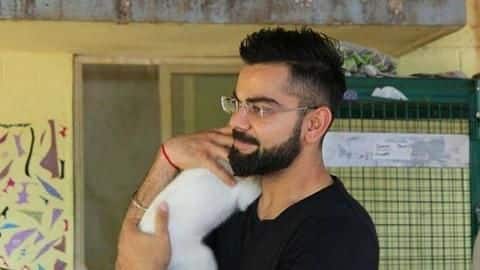 Virat Kohli sets up two animal shelters in Mumbai Virat Kohli sets up two animal shelters in Mumbai
