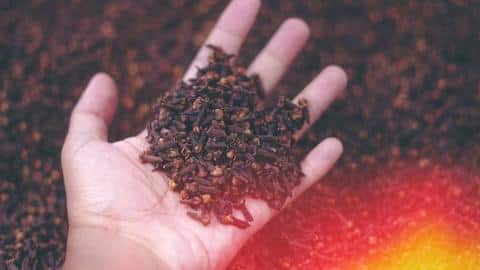 5 health benefits of cloves that you must note down 5 health benefits of cloves that you must note down