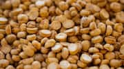 Make every meal better with crispy lentils