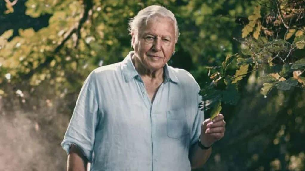 David Attenborough 'profoundly disturbed' by unauthorized AI voice cloning