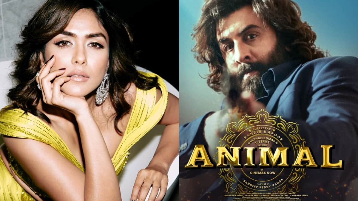 'Just celebrate films': Mrunal Thakur defends Ranbir Kapoor's 'Animal'