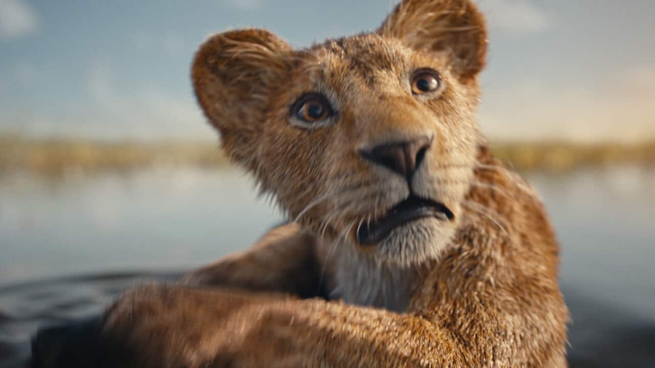 'Mufasa: The Lion King': All about Scar's real name, backstory