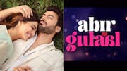After 'Sardaar 3,' Fawad-Vaani's 'Abir Gulaal' skips India release 