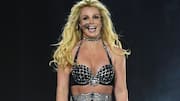 Britney Spears living in 'messy mansion' littered with dog poop?