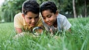 Nature-based weekend activities to boost kids' learning