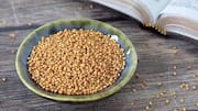 5 culinary uses of toasted mustard seeds