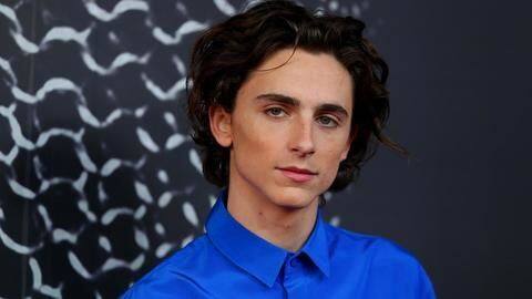 Timothée Chalamet could be co-hosting the Met Gala 2021 Timothée Chalamet could be co-hosting the Met Gala 2021