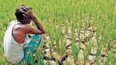 Punjab: Agricultural bank issues arrest warrants against loan defaulting farmers Punjab: Agricultural bank issues arrest warrants against loan defaulting farmers