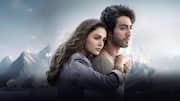 'Saiyaara's success boosts hopes for Kartik Aaryan's next film: Report