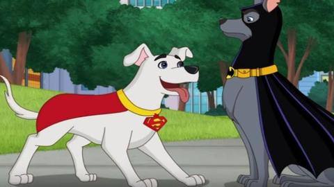 #ComicBytes: The most iconic pets in the DC universe #ComicBytes: The most iconic pets in the DC universe