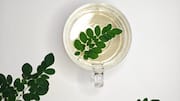Transform your meals with these moringa recipes