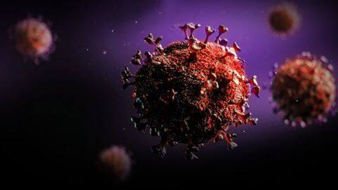 Kerala student, India's first COVID-19 patient, reinfected with virus Kerala student, India's first COVID-19 patient, reinfected with virus