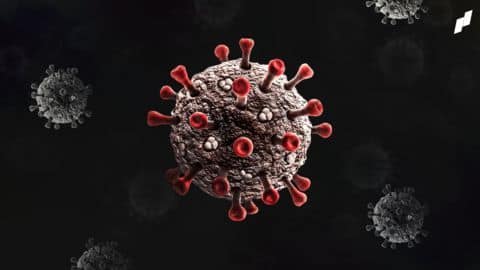 COVID-19: India reports 7K infections, lowest in 551 days COVID-19: India reports 7K infections, lowest in 551 days