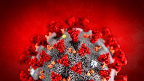 COVID-19: India reports 10K+ infections; 301 more deaths COVID-19: India reports 10K+ infections; 301 more deaths
