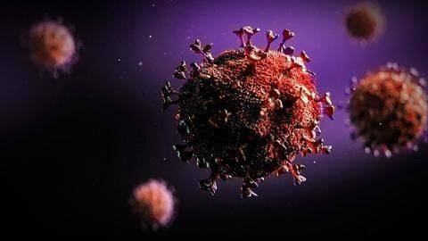 COVID-19: India reports 9K+ infections; 477 more deaths COVID-19: India reports 9K+ infections; 477 more deaths