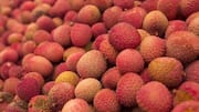 Lychee v/s apricots: Comparing their nutrition