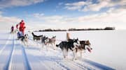 Why you can't leave Canada without trying dog sledding
