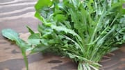 Dandelion greens: 5 amazing health benefits of this bitter-flavored leaf