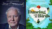 Liked 'All That Breathes'? Similar wildlife, nature-based documentaries on OTT