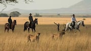 Discover Africa's landscapes on a horseback safari 