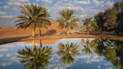 Senegal's most beautiful desert oases: A list