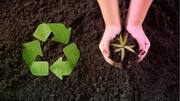 Make these simple lifestyle changes to be more environmentally friendly
