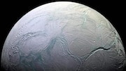 Does life exist on Saturn's moon Enceladus?