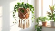 DIY planters: 5 ideas you'll love