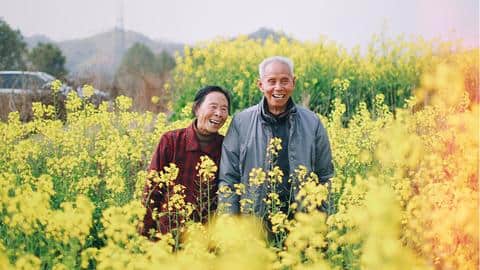 Ikigai: The Japanese way of living a long life! Ikigai: The Japanese way of living a long life!