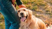 5 signs your pet truly trusts you
